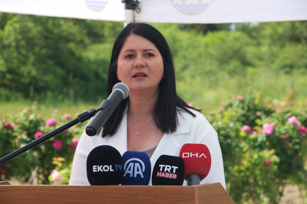 Edirne Gülü’ne coşkulu hasat! | Edirne Ahval Gazetesi IMG 5564 | Edirne Ahval Gazetesi