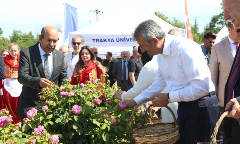Edirne Gülü’ne coşkulu hasat! | Edirne Ahval Gazetesi IMG 5617 | Edirne Ahval Gazetesi
