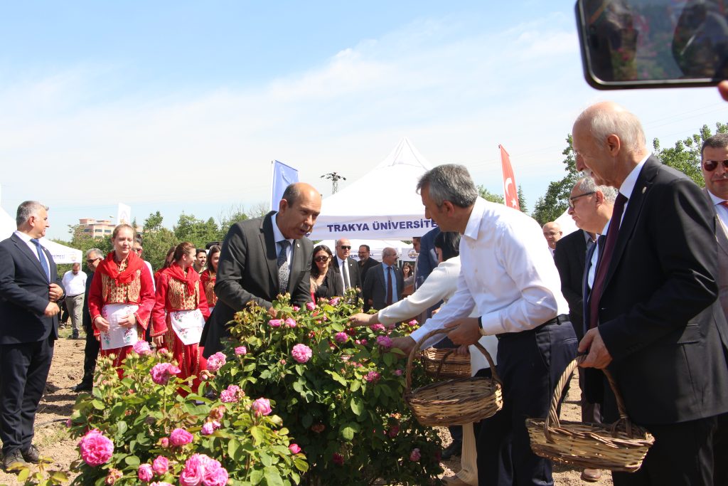 Edirne Gülü’ne coşkulu hasat! | Edirne Ahval Gazetesi IMG 5619 | Edirne Ahval Gazetesi