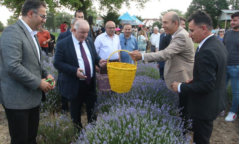 Edirne’de ‘lavanta’ zamanı | Edirne Ahval Gazetesi WhatsApp Image 2025 06 18 at 21.58.52 3 | Edirne Ahval Gazetesi