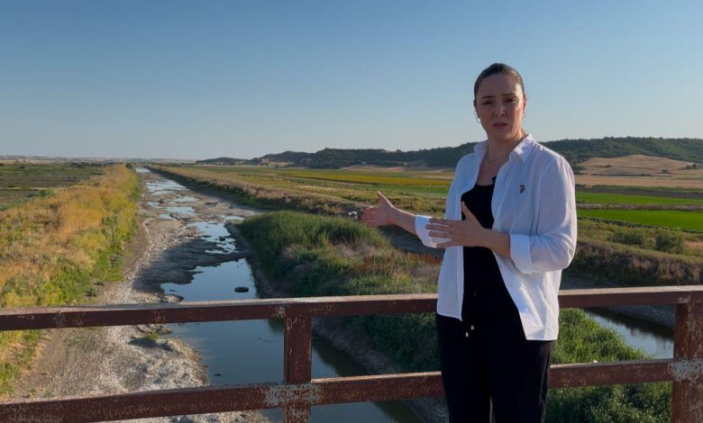 'Edirne tarımı susuz kalırsa, Türkiye pirinçsiz kalır' | Edirne Ahval Gazetesi WhatsApp Image 2025 06 26 at 16.43.55 | Edirne Ahval Gazetesi