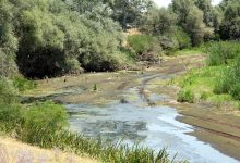 WhatsApp Image 2025 07 09 at 15.45.34 | Edirne Ahval Gazetesi