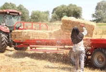 WhatsApp Image 2025 07 09 at 15.45.54 7 | Edirne Ahval Gazetesi