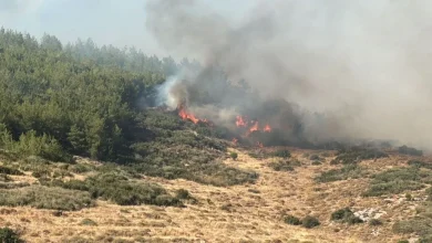 hatay yangin | Edirne Ahval Gazetesi