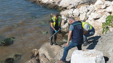 6 ayda cevreyi 8230 20250803103600 | Edirne Ahval Gazetesi