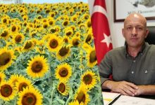 site 100 | Edirne Ahval Gazetesi