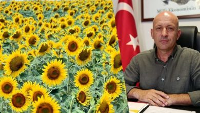 site 100 | Edirne Ahval Gazetesi