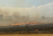 site 99 | Edirne Ahval Gazetesi