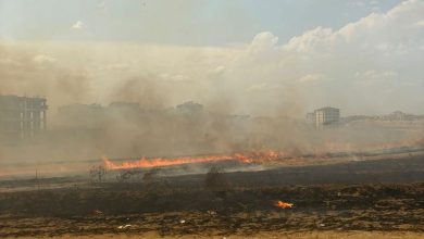 site 99 | Edirne Ahval Gazetesi