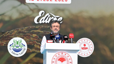 Ekran goruntusu 2025 10 13 125511 | Edirne Ahval Gazetesi