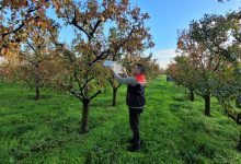 579895350 1562695408190789 4802152042326308550 n | Edirne Ahval Gazetesi