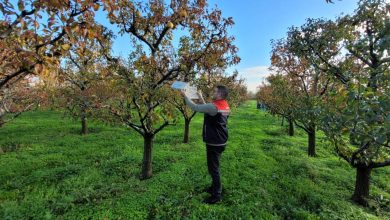 579895350 1562695408190789 4802152042326308550 n | Edirne Ahval Gazetesi