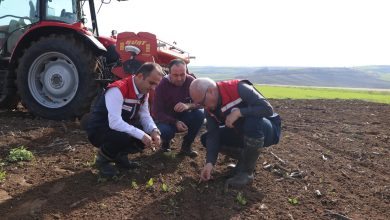 Çiftçiye verim modeli arayışı sürüyor | Edirne Ahval Gazetesi 584672681 1565851714541825 6795535962943891148 n | Edirne Ahval Gazetesi