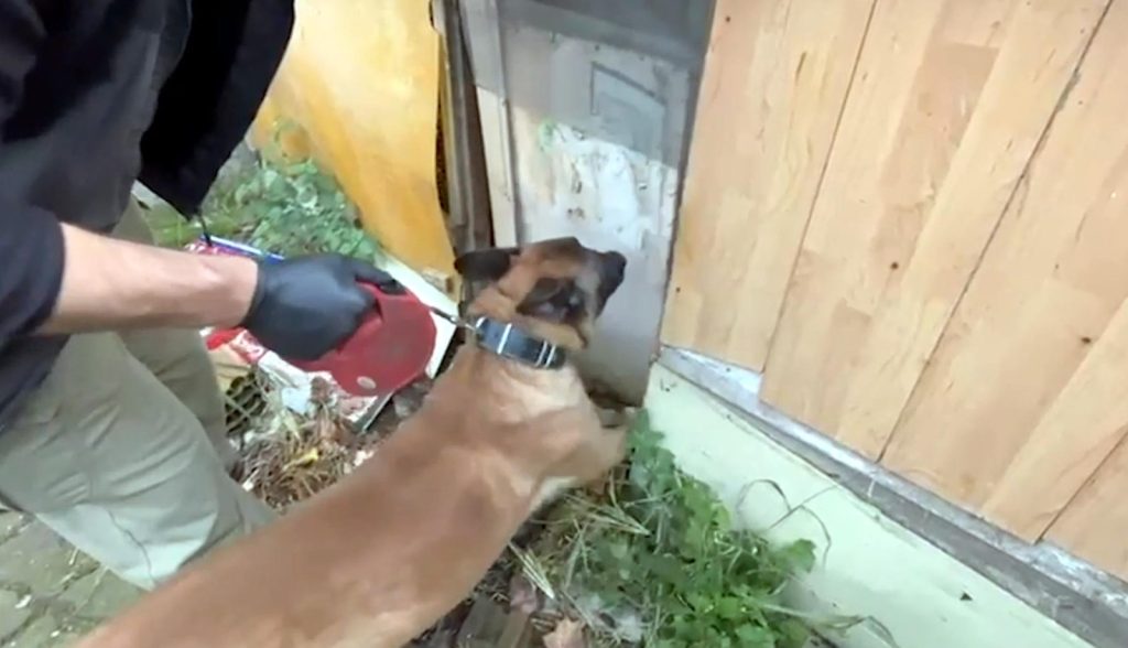 Zehir tacirlerine şafak operasyonu | Edirne Ahval Gazetesi WhatsApp Image 2025 11 19 at 15.36.30 1 1 | Edirne Ahval Gazetesi