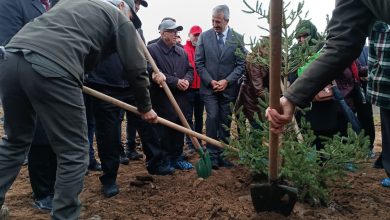 Şehit polisler anısına 500 fidan | Edirne Ahval Gazetesi WhatsApp Image 2025 11 26 at 12.37.00 | Edirne Ahval Gazetesi