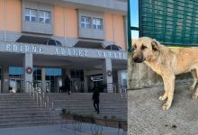 site 31 1 | Edirne Ahval Gazetesi