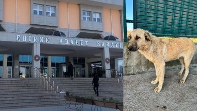 site 31 1 | Edirne Ahval Gazetesi