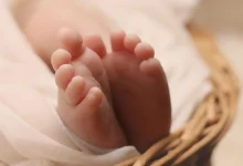 bebek | Edirne Ahval Gazetesi