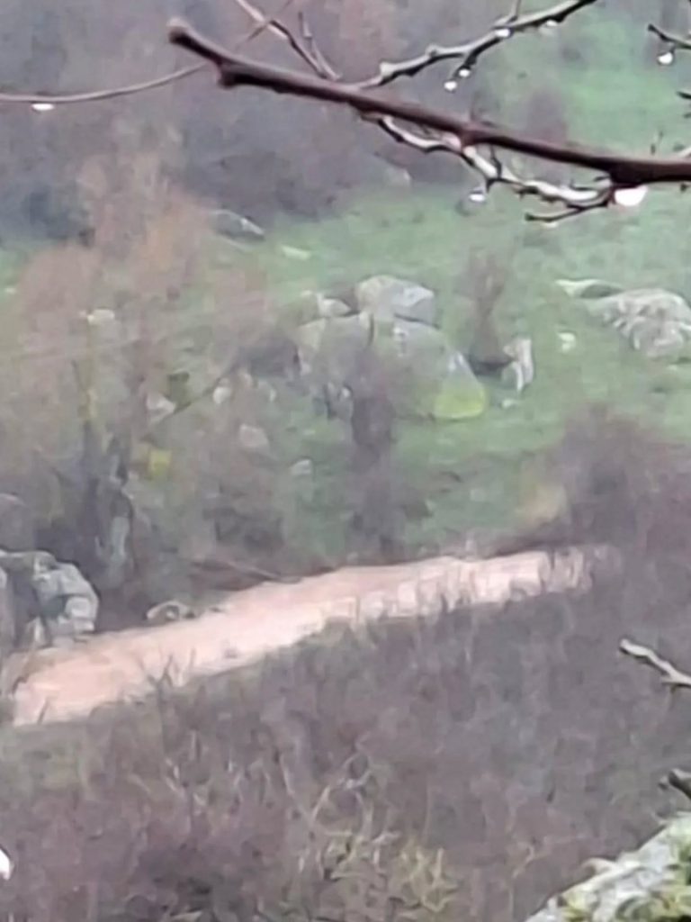 Baraja 'yağmur' bereketi | Edirne Ahval Gazetesi 611276333 18057587372653025 506420020870215335 n | Edirne Ahval Gazetesi