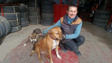 Kadın usta işinin başında, can dostlarının yanında! | Edirne Ahval Gazetesi WhatsApp Image 2026 01 28 at 17.29.27 | Edirne Ahval Gazetesi