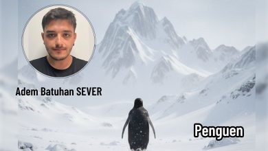 Penguen | Edirne Ahval Gazetesi canon 1 | Edirne Ahval Gazetesi