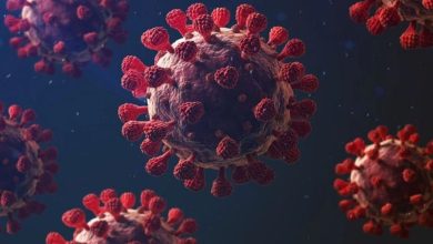 Hindistan’daki Nipah vakaları Asya’yı alarma geçirdi! | Edirne Ahval Gazetesi nnn | Edirne Ahval Gazetesi