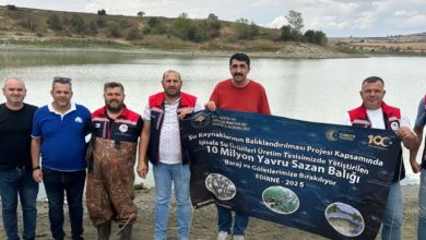 Bölgenin sazan rezervi Edirne'de! | Edirne Ahval Gazetesi site 2026 01 06T161806.636 1 | Edirne Ahval Gazetesi